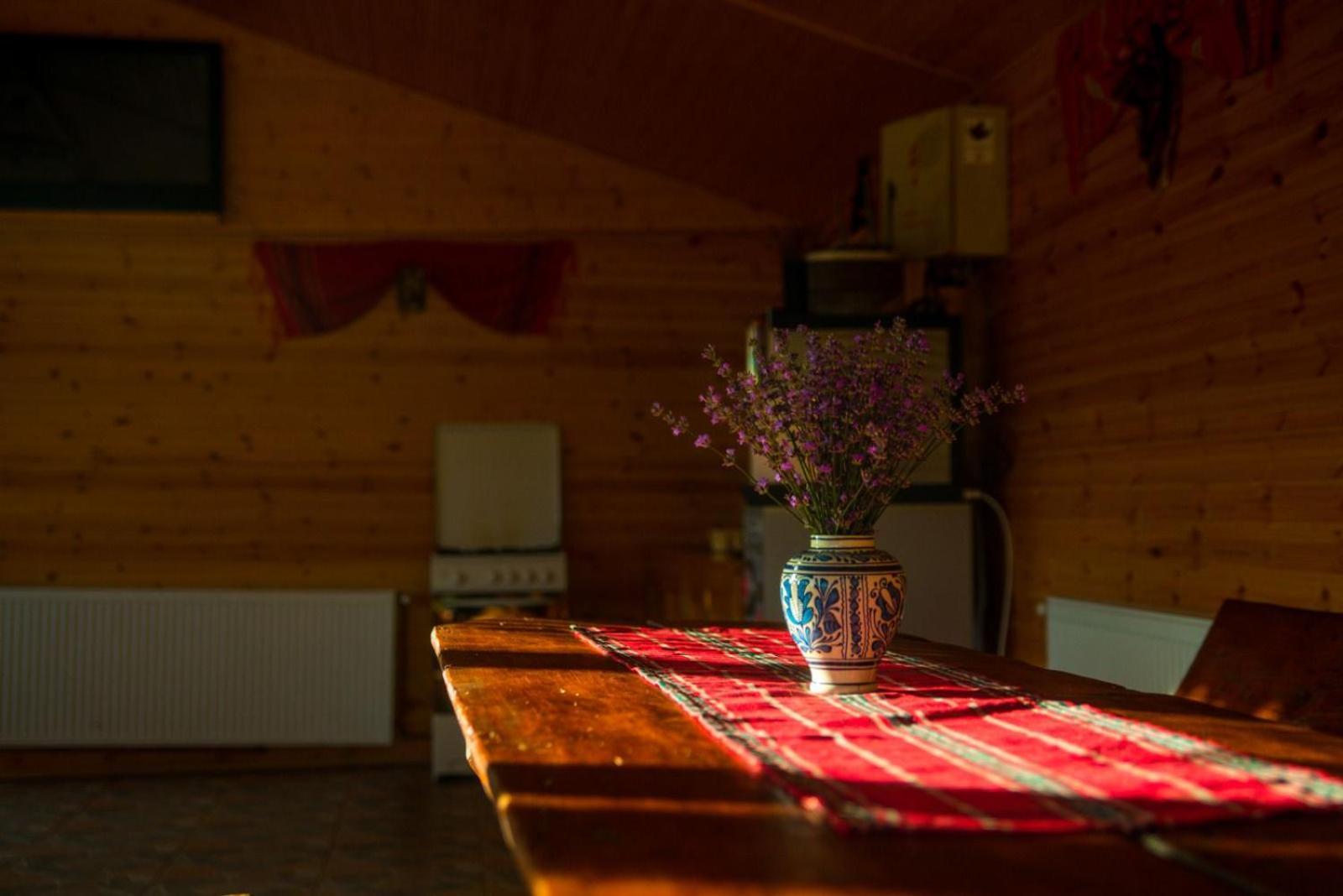 Hotel La 3 Stejari, Calimanesti à Salatrucel Extérieur photo