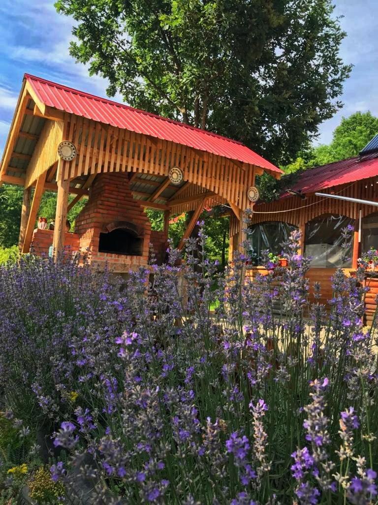 Hotel La 3 Stejari, Calimanesti à Salatrucel Extérieur photo